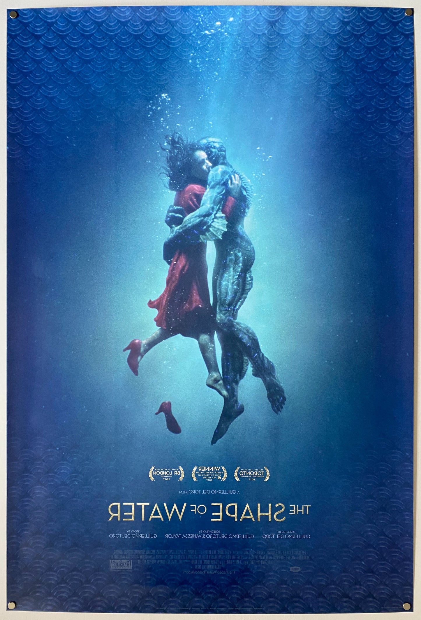 The Shape of Water